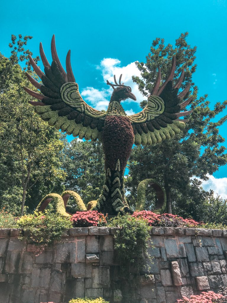 phoenix topiary plant sculpture